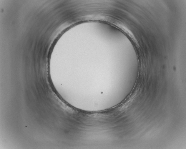 X0000070830992200607142336