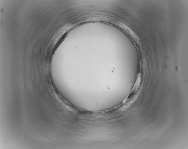 X0000070830993200607142336