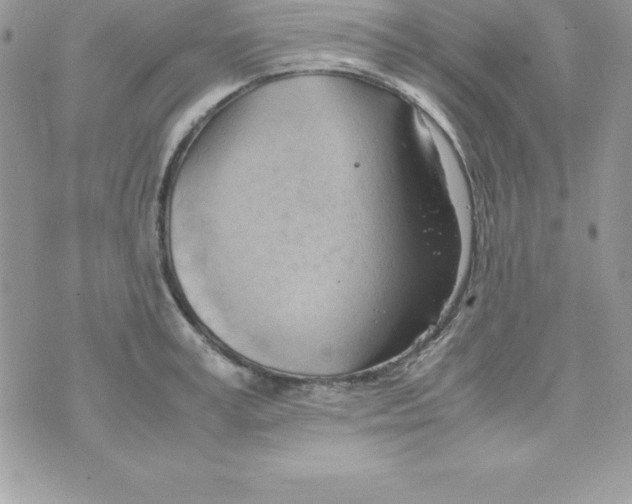 X0000070830995200607142336