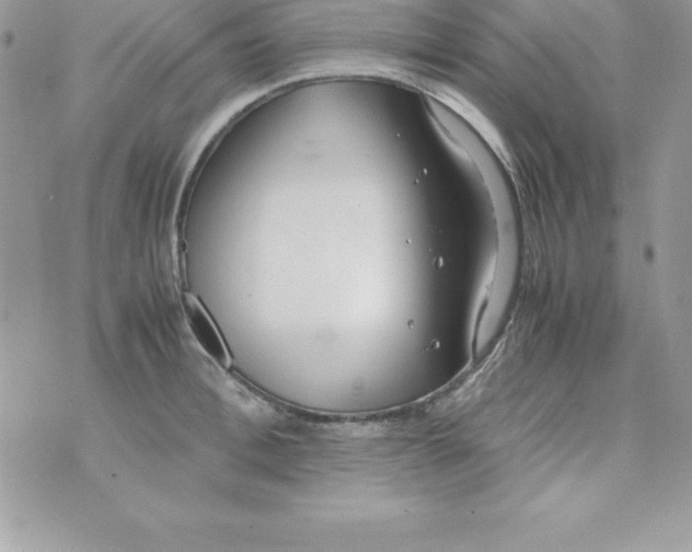 X0000070830996200607142336