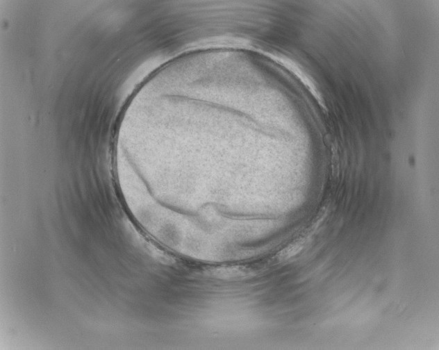 X0000070830998200607142336