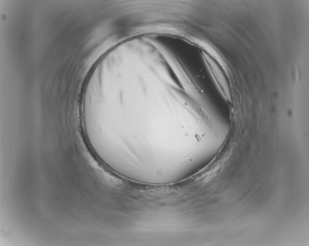 X0000070830999200607142336