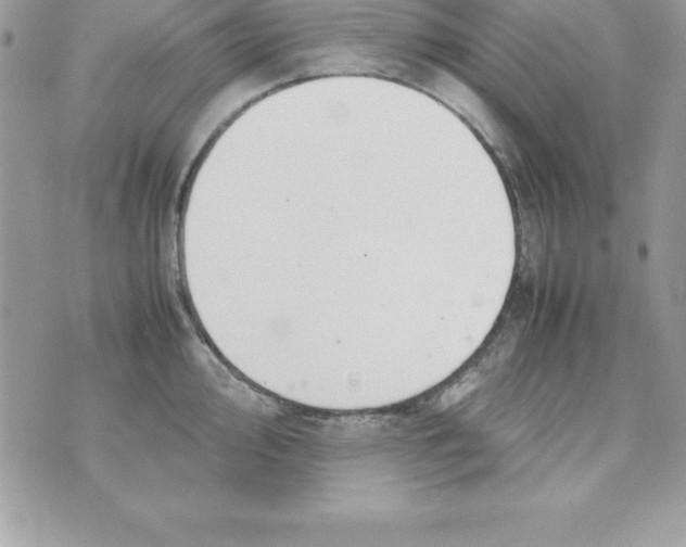 X0000070831000200607142336