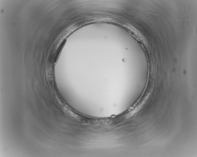 X0000070831001200607142336