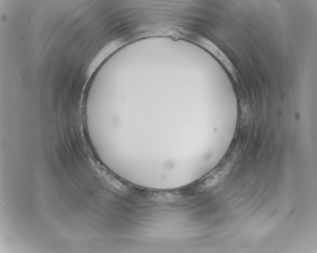 X0000070831002200607142336