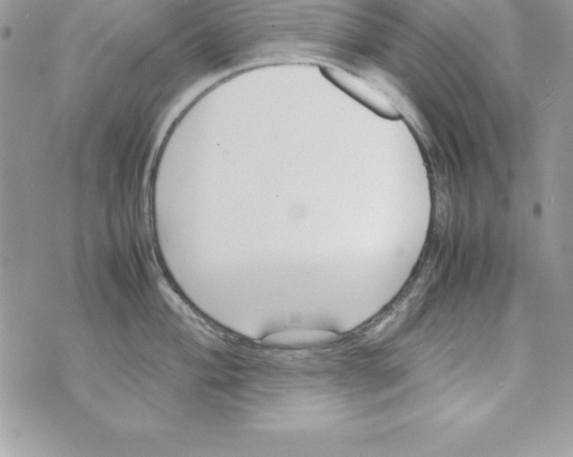 X0000070831004200607142336