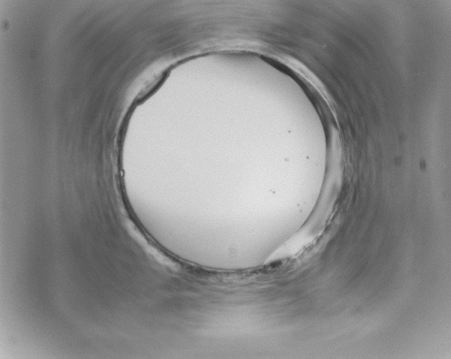 X0000070831005200607142336