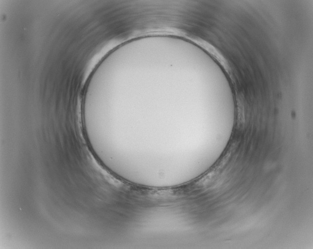 X0000070831006200607142336