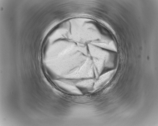 X0000070831007200607142336