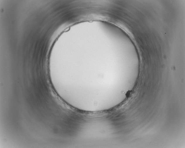 X0000070831008200607142336