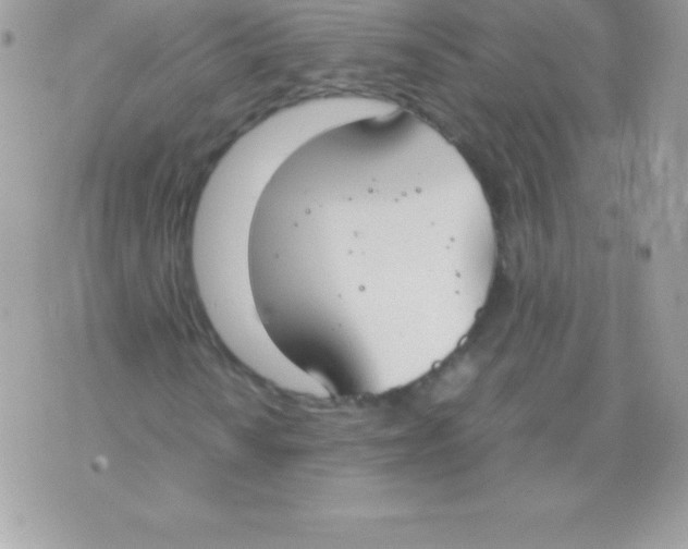 X0000070831010200607142335