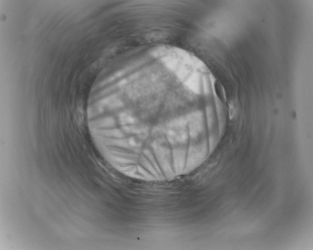 X0000070831011200607142335