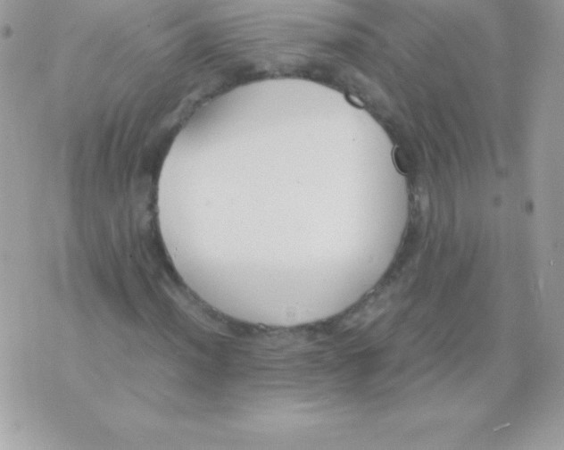 X0000070831012200607142335