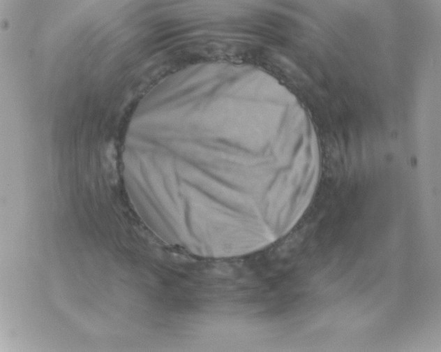 X0000070831013200607142335