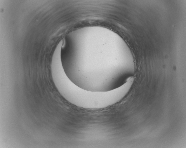 X0000070831014200607142335