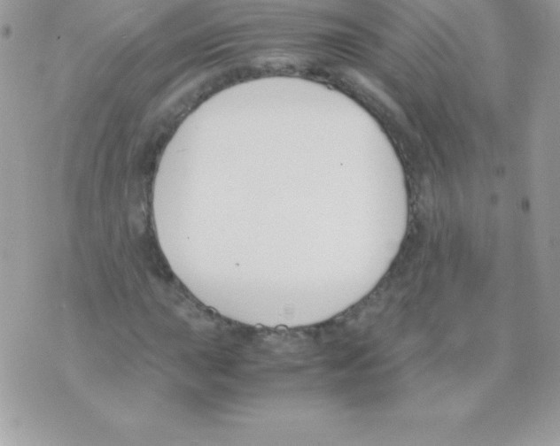 X0000070831015200607142335