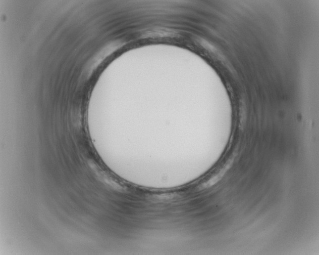 X0000070831017200607142335