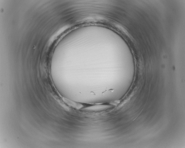 X0000070831018200607142335