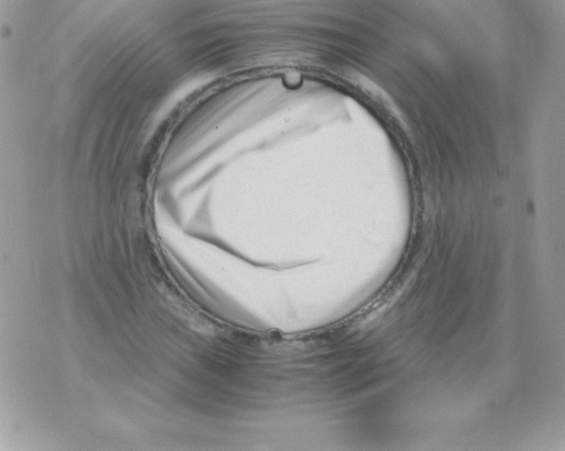 X0000070831019200607142335