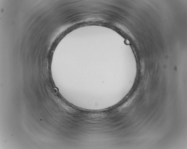 X0000070831021200607142335