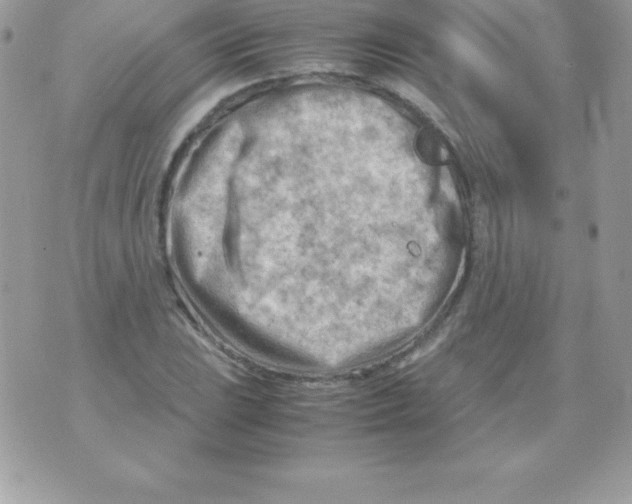 X0000070831023200607142335