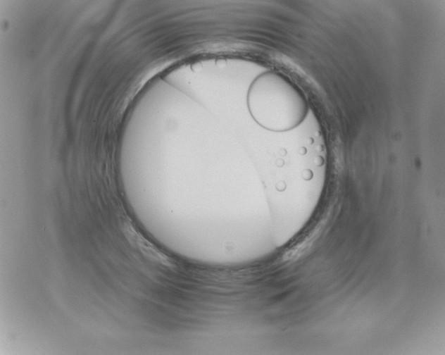 X0000070831025200607142335