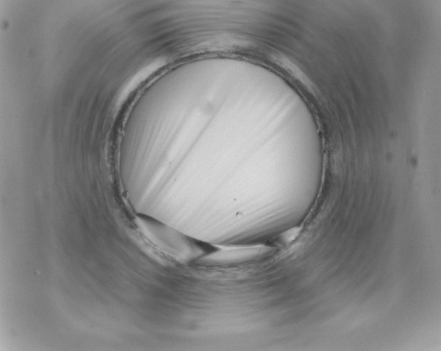 X0000070831026200607142335