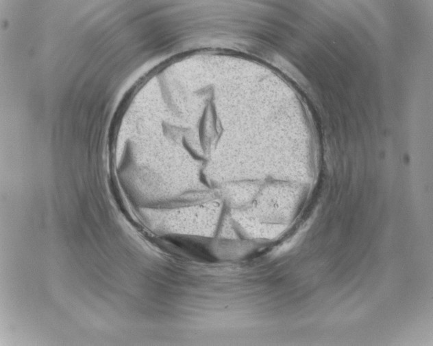 X0000070831028200607142335