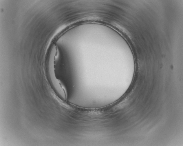 X0000070831029200607142335