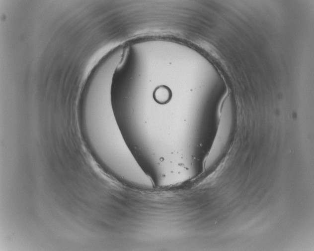 X0000070831030200607142336