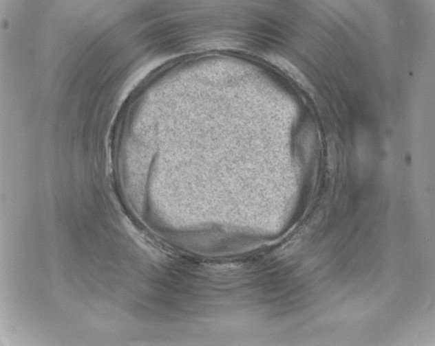 X0000070831031200607142336