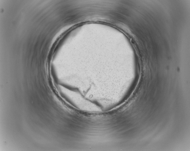 X0000070831032200607142336