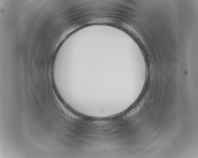 X0000070831033200607142336