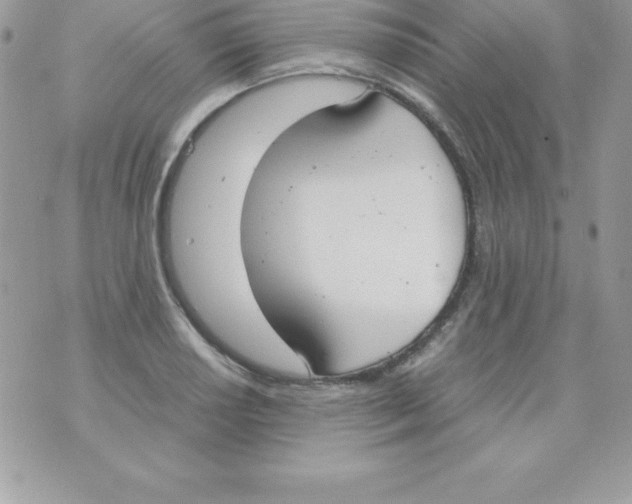 X0000070831034200607142336