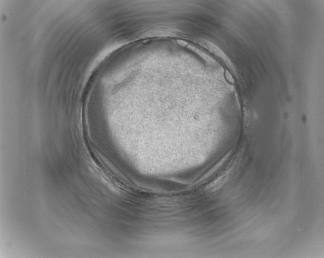 X0000070831035200607142336