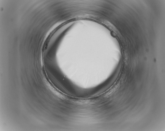 X0000070831036200607142336