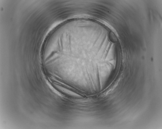 X0000070831037200607142336