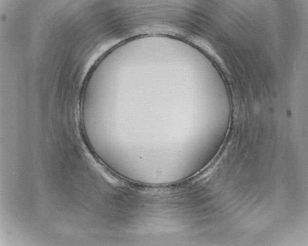 X0000070831040200607142336