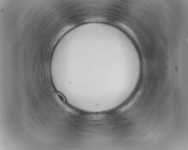 X0000070831041200607142336