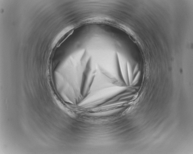 X0000070831042200607142336