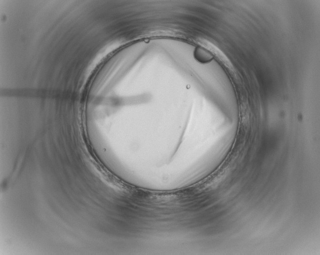 X0000070831043200607142336