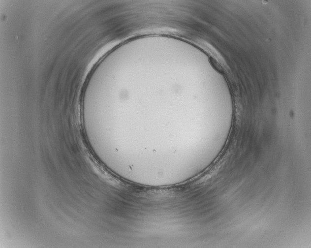 X0000070831044200607142336