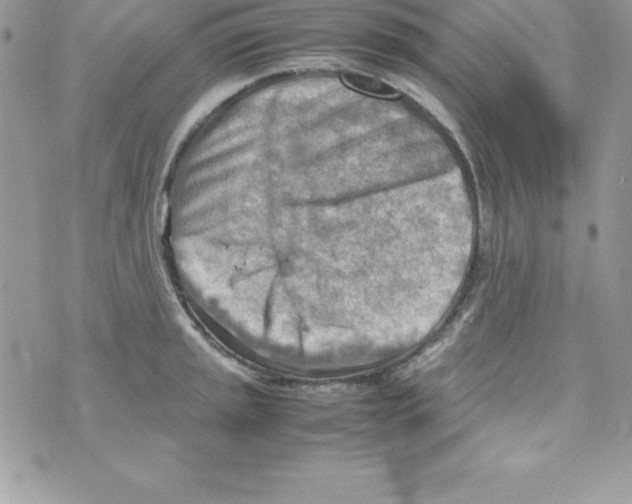 X0000070831045200607142336