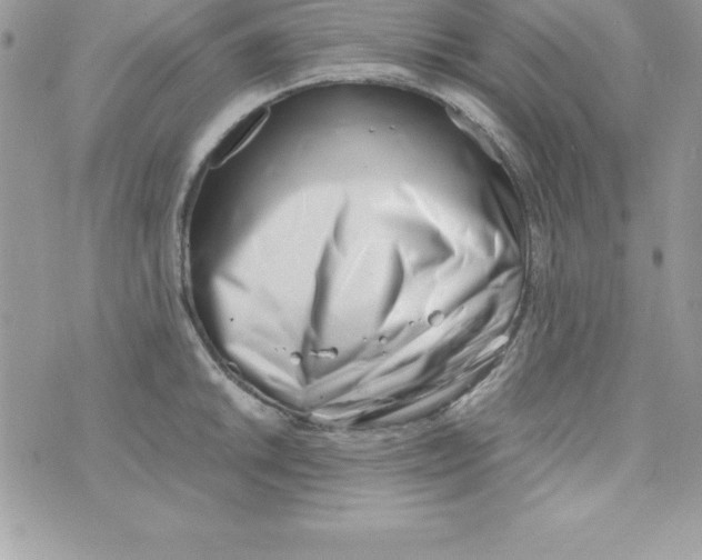 X0000070831046200607142336