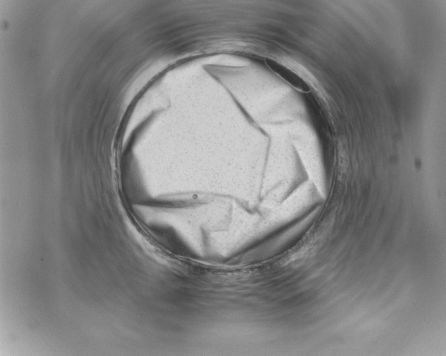 X0000070831047200607142336