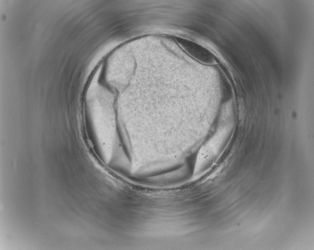 X0000070831048200607142336