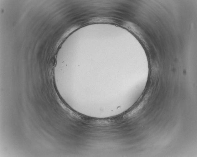 X0000070831049200607142336