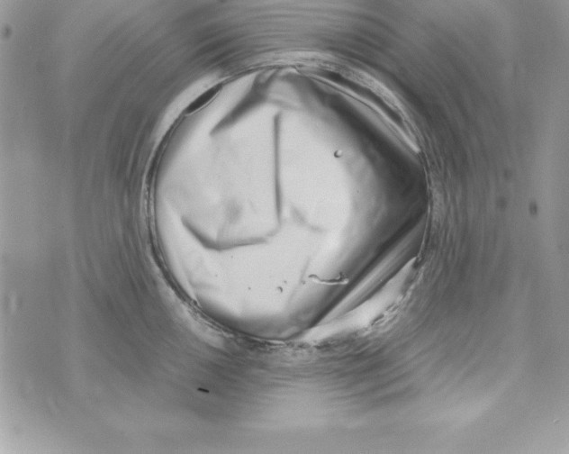 X0000070831050200607142336