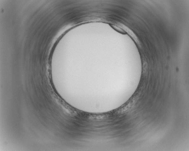 X0000070831051200607142336