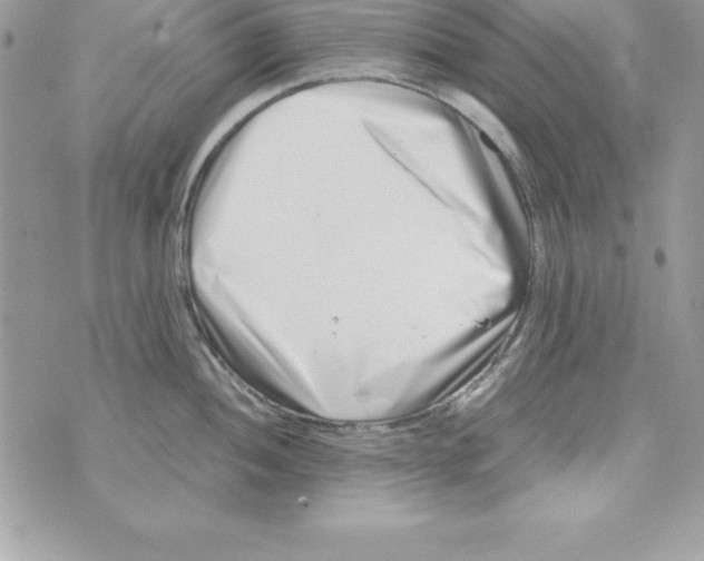 X0000070831052200607142336